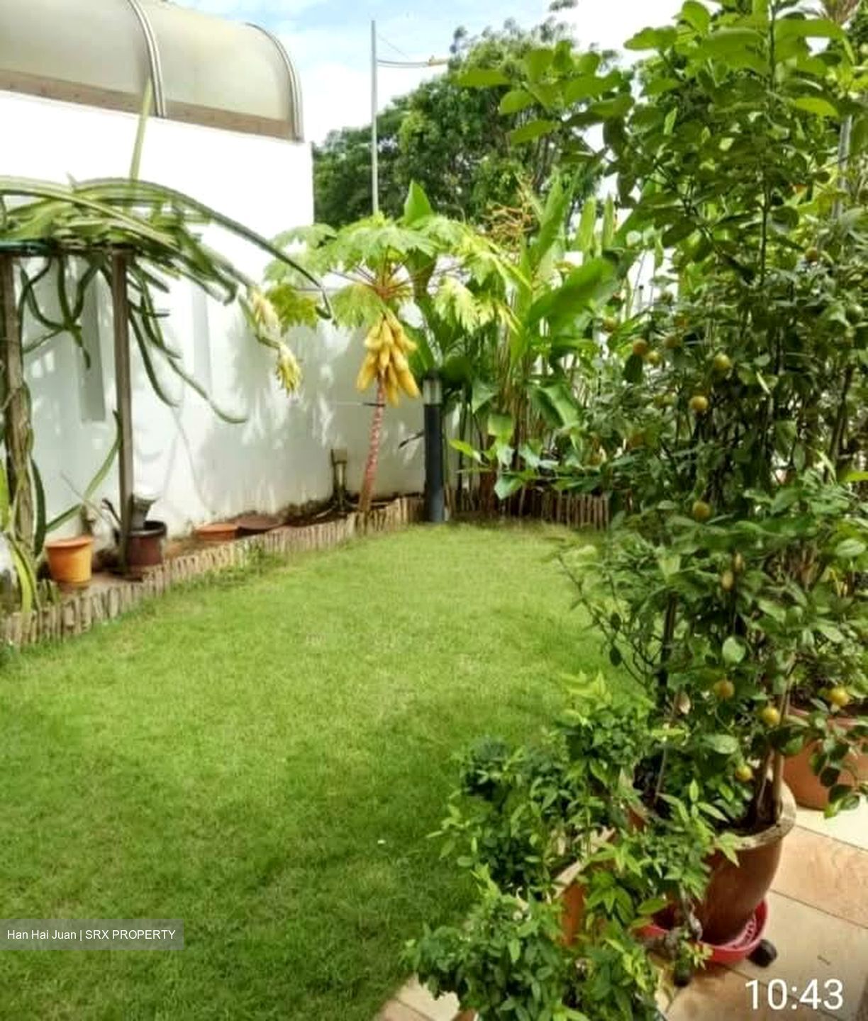 Fengli Gardens (D19), Terrace #616420431